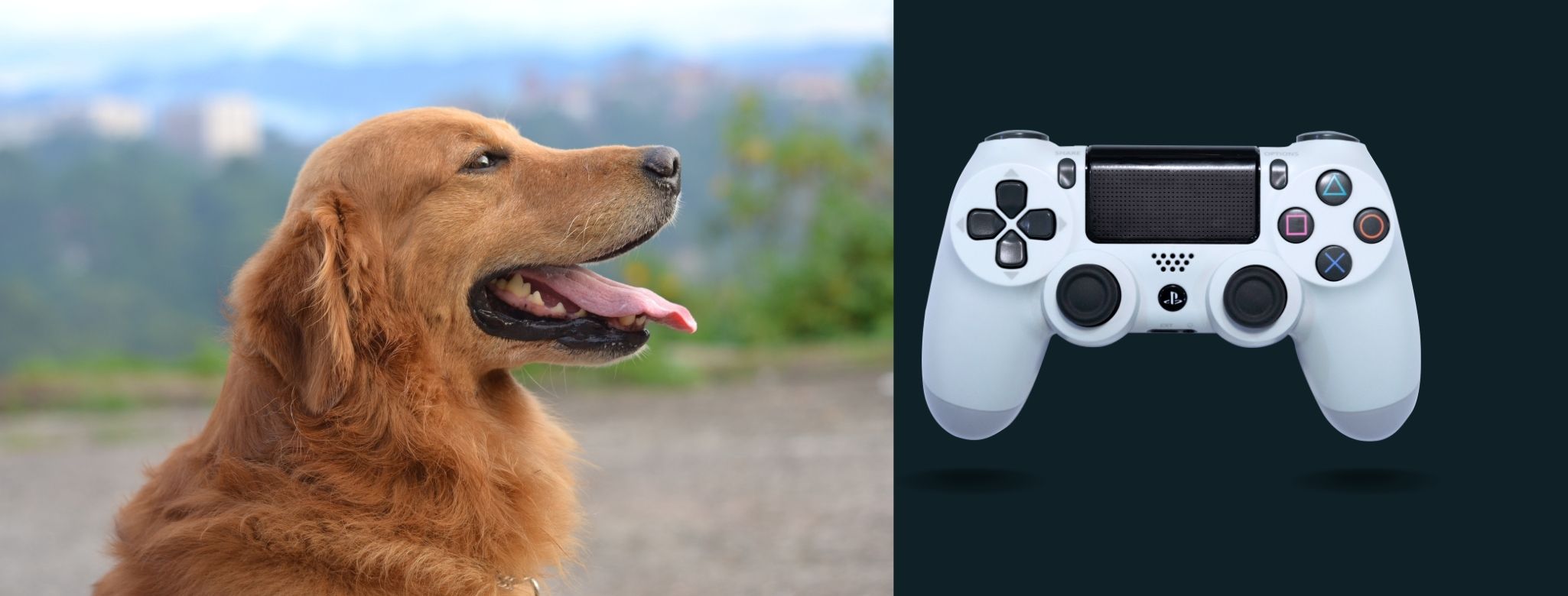 Dog with Green Dark Gamer Survival Facebook Cover