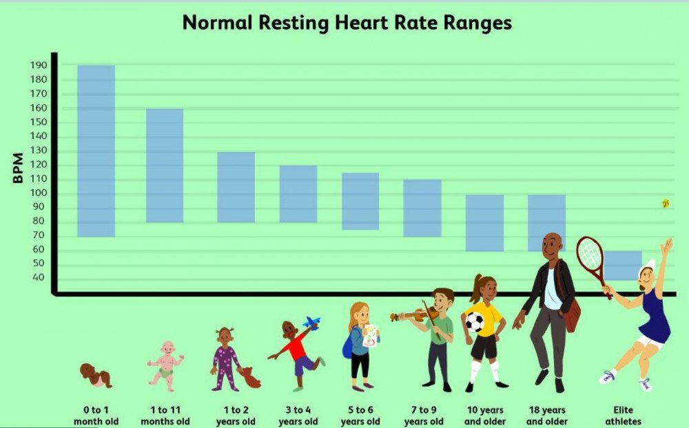 Normal Resting Heart Rate Ranges