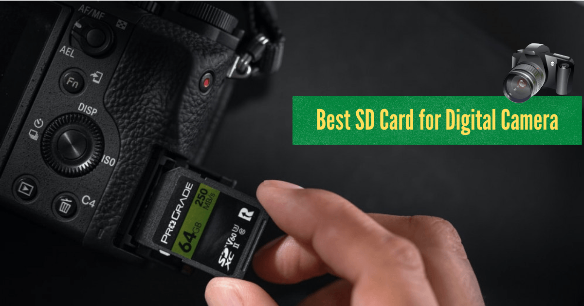 13 Best SD Card For Digital Camera You Want To Know 2024