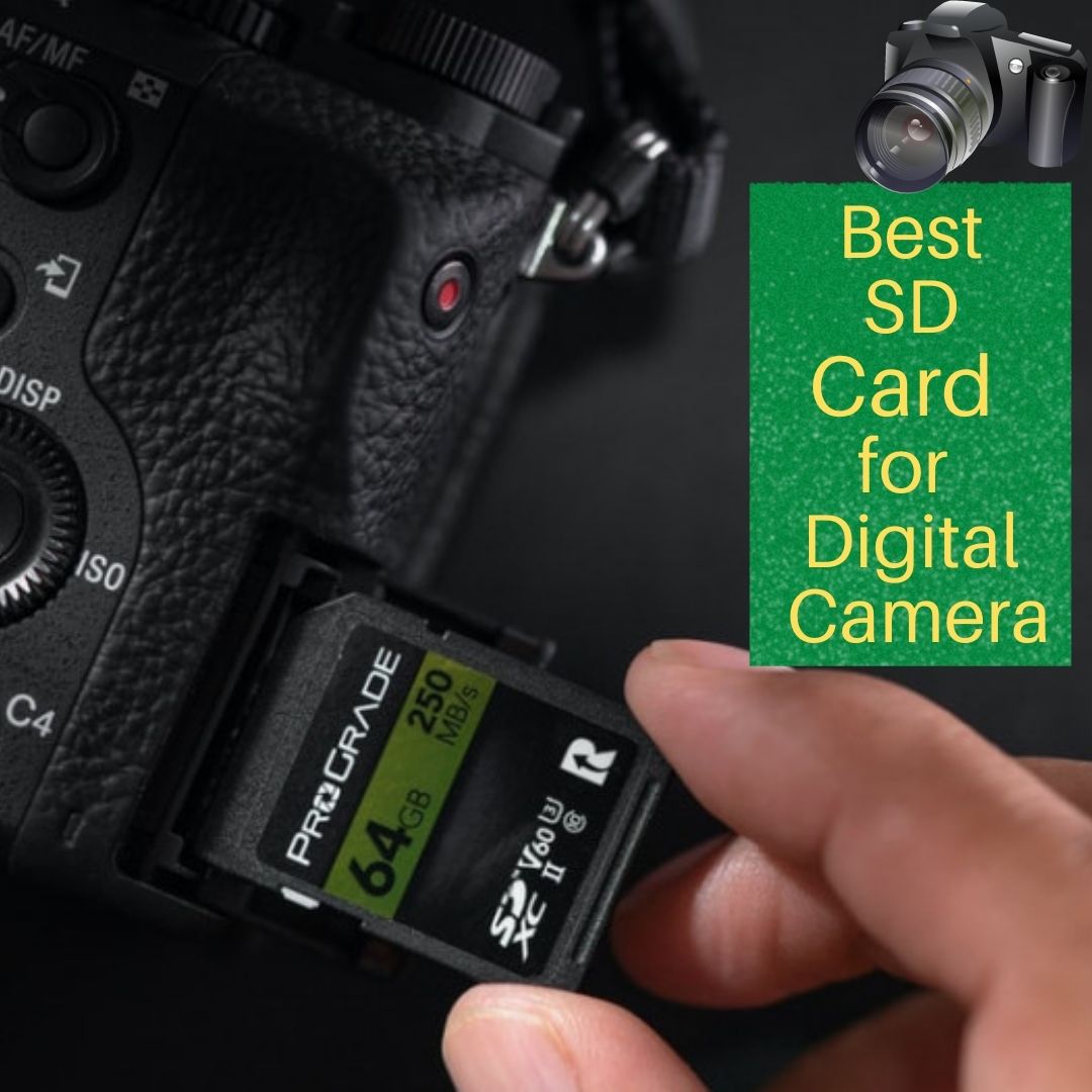 Best SD Card for Digital Camera